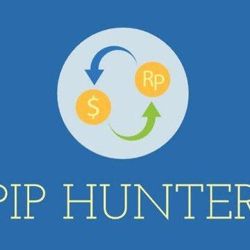 Forex pip hunter